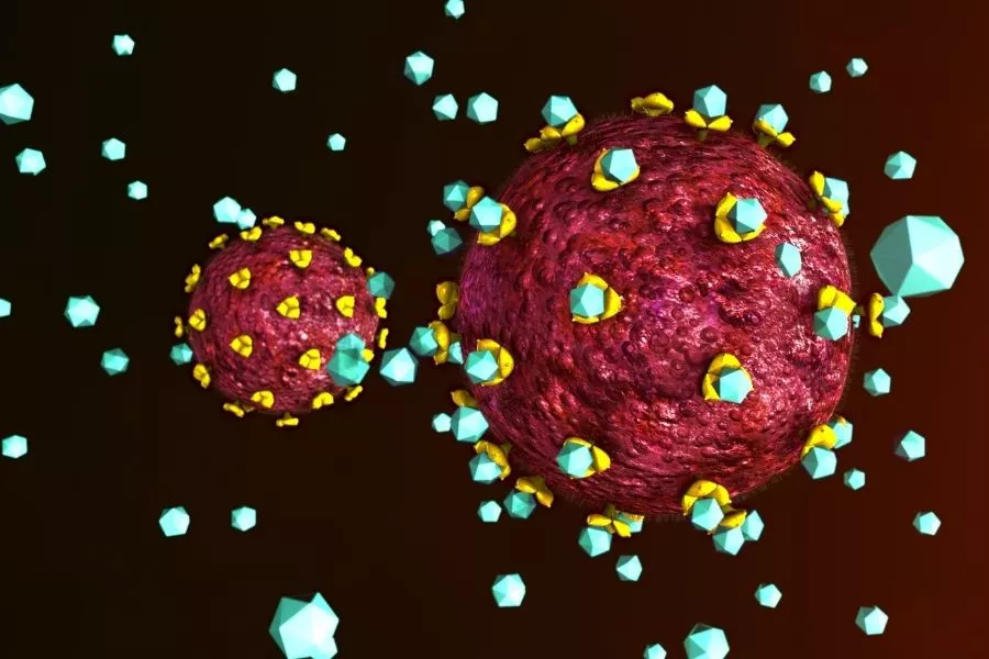 Apakah Hiv Tahap Awal Bisa Disembuhkan Apakah Hiv Tahap Awal Bisa Disembuhkan